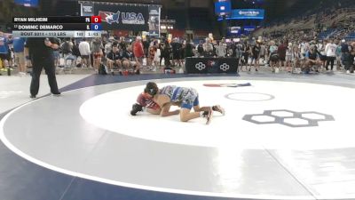 113 lbs Cons. Rd Of 16 - Ryan Milheim, Pennsylvania vs Dominic DeMarco, Illinois