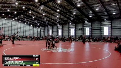 117 lbs Final - Amelia Mitchell, Steel Maidens vs Mackinzie Brewer, Missouri Battle Gear Black