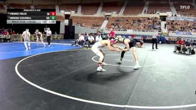 132-D3 Quarterfinal - Pedro Felix, Empire High School vs Brode Colwell, Eastmark High School