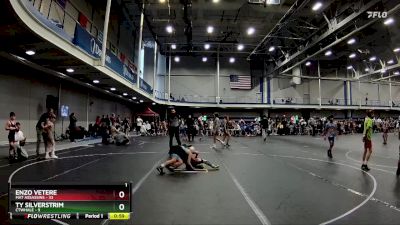 88 lbs Round 6 (10 Team) - Enzo Vetere, Mat Assassins vs TY Silverstrim, CTWHALE