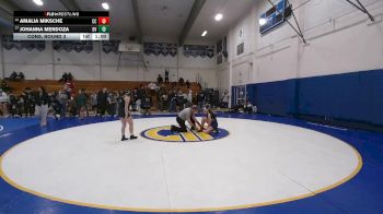124 lbs Cons. Round 3 - Johanna Mendoza, Dougherty Valley vs Amalia Miksche, Central Catholic