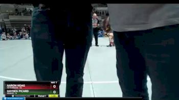 115 lbs Semis & 1st Wrestleback (8 Team) - Hayden Picard, Roseau vs Aaron Hoag, Hutchinson