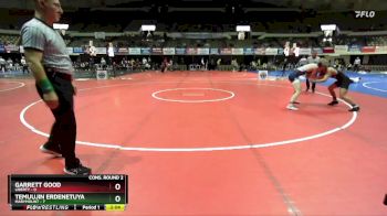 141 lbs Semis & Wb (16 Team) - Temuujin Erdenetuya, Marymount vs Garrett Good, Liberty