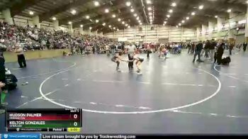 113 lbs Champ. Round 2 - Kelton Gonzales, Syracuse vs Hudson Palmer, Farmington