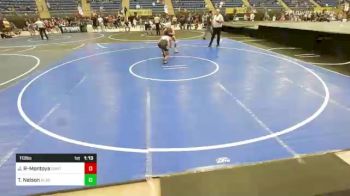 113 lbs Quarterfinal - James Romero-Montoya, Swat vs Trent Nelson, BlackCat WC