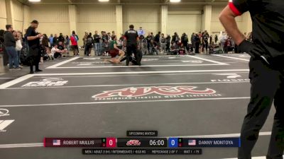 Robert Mullis vs Danny Montoya 2025 ADCC Charlotte Open