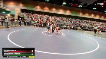 165 lbs Champ. Round 1 - Liam Brunton, Del Oro vs Gunther Hamilton, Oak Ridge