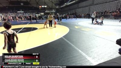 35-37 lbs Quarterfinal - Nolan Gilbertson, Punisher Wrestling Company vs CharleeAnn McCoy, Askeo International Mat Club