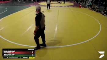 102 lbs Semis (4 Team) - Noah Wood, Adrian vs Aaron Hoag, Hutchinson