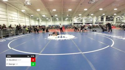 91 lbs Quarterfinal - Allen Gaudenzi, Newtown vs Payton George, Top Flight Wr Ac