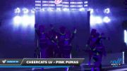 CheerCats LV - Pink Pumas [2022 L1.1 Youth - PREP - D2] 2022 The American Grand Grand Nationals