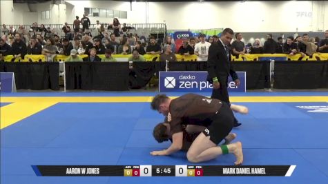Mark Daniel Hamel vs Aaron W Jones 2025 World IBJJF Jiu-Jitsu No-Gi Championship