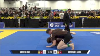 Mark Daniel Hamel vs Aaron W Jones 2025 World IBJJF Jiu-Jitsu No-Gi Championship