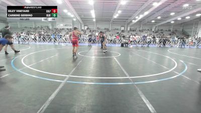 195 lbs Rr Rnd 2 - Riley Vineyard, Culpepper Legends vs Carmine Gerbino, Blue Wave