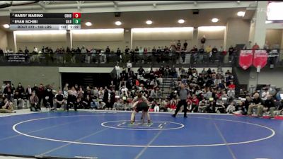 165 lbs Final - Harry Marino, Conard vs Evan Schibi, Gilbert/Torr/Wolc