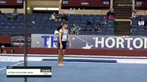 All Star Gymm Bernardo - Floor