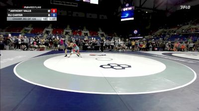 120 lbs Champ. Rd Of 128 - Anthony Valls, NY vs Eli Carter, AL