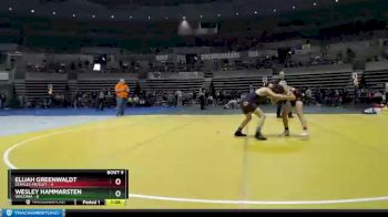 105 lbs Finals (8 Team) - Wesley Hammarsten, Waconia vs Elijah Greenwaldt, Staples-Motley