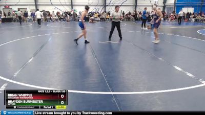 Silver 133 lbs Cons. Round 4 - Brayden Burmeister, Luther vs Brian Whipple, Wisconsin-Whitewater