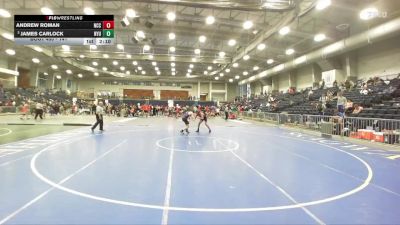 141 lbs Cons. Round 2 - James Carlock, NYU vs Andrew Roman, Nassau Community College