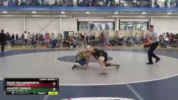 174 lbs Champ. Round 2 - Hunter Charles, Lycoming College vs Gavin Hollingsworth, Alvernia University
