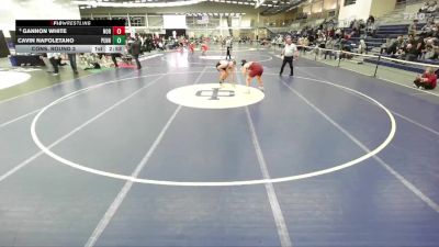 157 lbs Cons. Round 3 - Gannon White, Norwich vs Cavin Napoletano, Pennsylvania College Of Technology