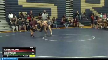 160 lbs Finals (2 Team) - Gabriel Williams, Desert Oasis vs Henry Pulica, Canyon View