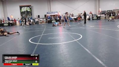 130 lbs Quarterfinal - Tristan Holt, Romeo WC vs Collin Hamm, Wrestling Factory