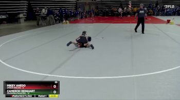 55 lbs Semis & 1st Wrestleback (8 Team) - Cameron Reinhart, Caledonia/Houston vs Mikey Ahedo, LPGE/B Wolves