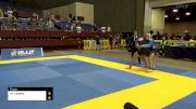 Michael Lebess vs James Marshall Hinton Jr 2024 Pan IBJJF Jiu-Jitsu No-Gi Championship