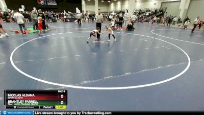 45 lbs Cons. Round 3 - Brantley Farrell, Team Nazar Training Center vs Nicolas Aldana, South Dakota