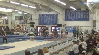 Adriana Popp - Vault, Co-Op - 2018 Parkettes Invitational