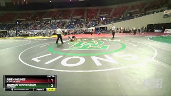 5A-106 lbs Quarterfinal - Truman Winningham, Thurston vs Aiden Nelmes, Mountain View