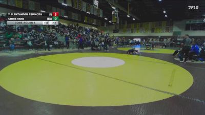 113 lbs Cons. Round 4 - Alekzander Espinoza, Palm Desert vs Chris Tran, Mira Mesa
