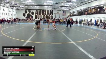 174 lbs Round 5 (6 Team) - Dominik Whitesel, Adrian vs Anthony Lahoski, Ohio Northern