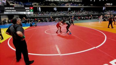 6A 165 lbs Cons. Round 3 - Travis Rosa, Cypress Creek vs Aidyn Milas, Lewisville Marcus