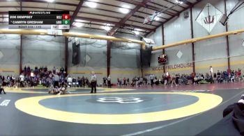 115 lbs Cons. Round 2 - Zoe Dempsey, New Lenox vs Camryn Gresham, Lakota East HS