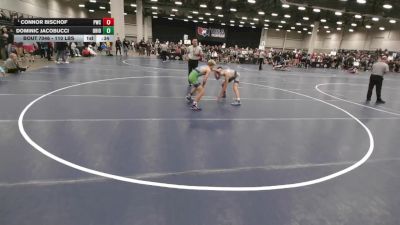 110 lbs Cons. Semis - Connor Bischof, Pinnacle Wrestling Club vs Dominic Jacobucci, Ohio