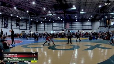 85 lbs Semifinals (4 Team) - Dylan Collier, PIT BULL WRESTLING ACADEMY vs Cole Littman, GREAT NECK WC - GOLD