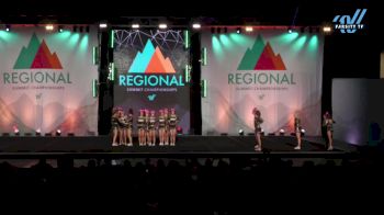 Northwest SilverStars - Dynasty Ladies [2024 L4 Senior - D2 1] 2024 The West Regional Summit