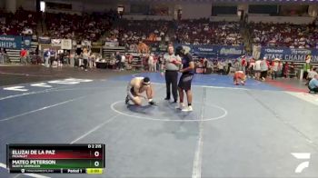 D 2 215 lbs Champ. Round 2 - Eluzai De La Paz, McKinley vs Mateo Peterson, North Vermilion