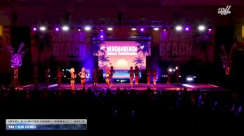 TAI - Ice Coed [2026 L6 Limited Coed - XSmall Day 2] 2026 ACDA Reach the Beach All Star Grand Nationals - DII