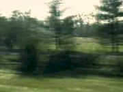 UCSB XC National Championships