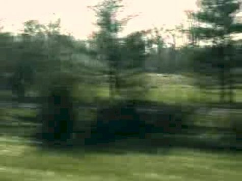 UCSB XC National Championships