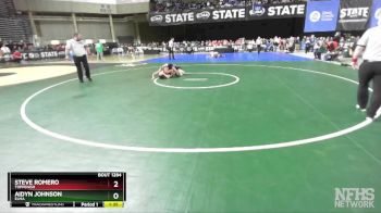 1A 113 lbs Semifinal - Aidyn Johnson, Elma vs Steve Romero, Toppenish