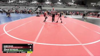 85 lbs Cons. Round 3 - Gabe Bales, Waynesville Tigers Wrestling Club-AAA vs Kixson Reynolds, Wolf Pack Youth Wrestling Club-AA