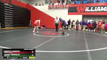 190 lbs Champ. Round 1 - Serenity Roberts, Central DeWitt vs Sophia Mendibles, Ottumwa