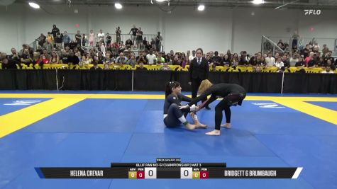 Bridgett G Brumbaugh vs Helena Crevar 2026 Pan IBJJF Jiu-Jitsu No-Gi Championship