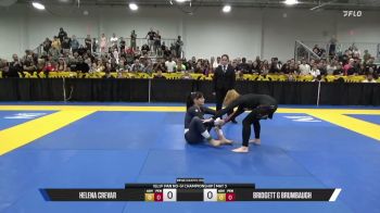 Bridgett G Brumbaugh vs Helena Crevar 2026 Pan IBJJF Jiu-Jitsu No-Gi Championship