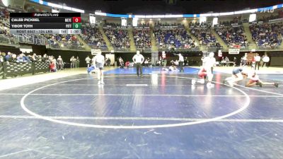 124 lbs Round Of 32 - Caleb Pickrel, Meyersdale vs Tibor Toth, Pittston Area